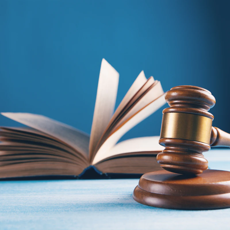 Check & Commercial Document Crimes